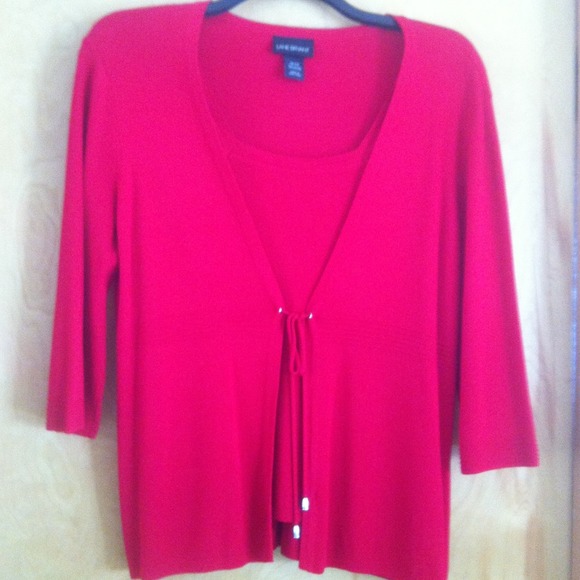🌟SOLD🌟Plus size Lane Bryant sweater