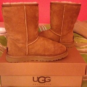 Size 6 Short Chestnut UGG boots