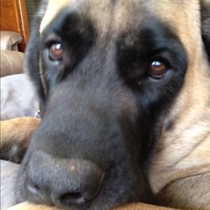 Share my closet, I will share yours