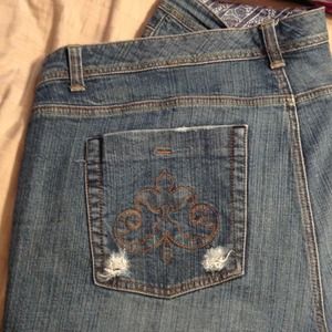 22 Average Lane Bryant Jeans