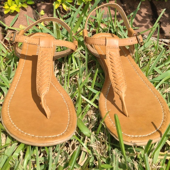 Brown gladiators, tribal design around the edge.