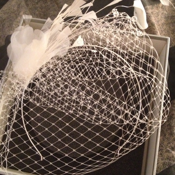 Bird cage style veil
