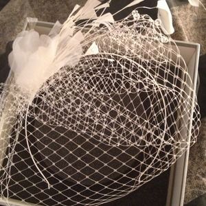 Bird cage style veil