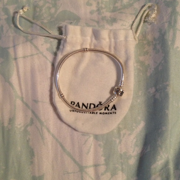Silver Pandora Bracelet