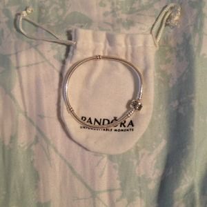 Silver Pandora Bracelet