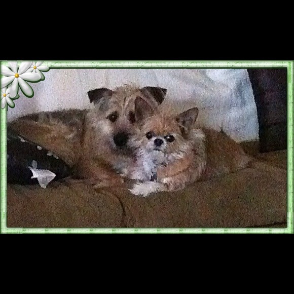 Meet my babies