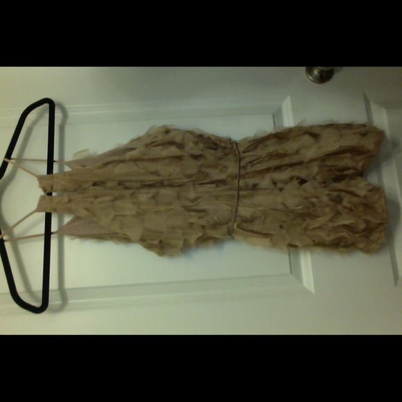❌❌SOLD❌❌NWT Trinity Ruffled Tunic - Picture 2 of 3