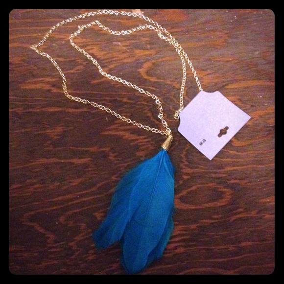 Fashion feather necklace. Never worn
