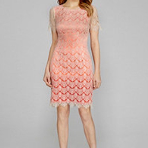 Antonio Melani Yvonne Scalloped Lace Dress