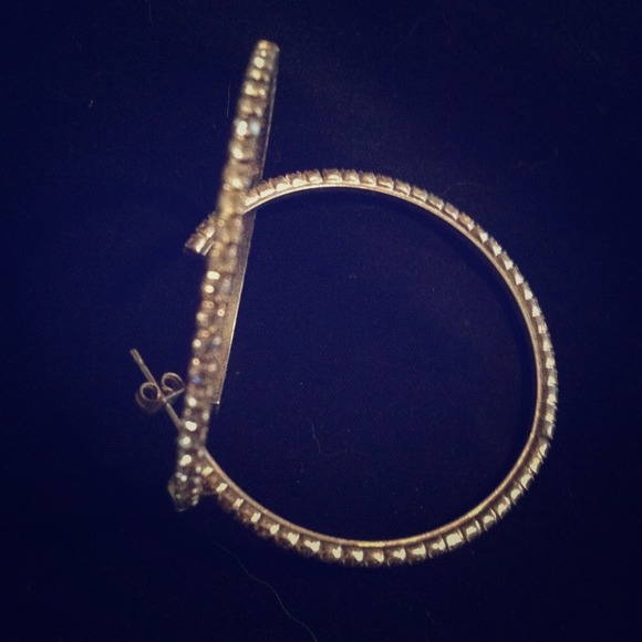 Designer Hoop Earrings - Picture 1 of 1