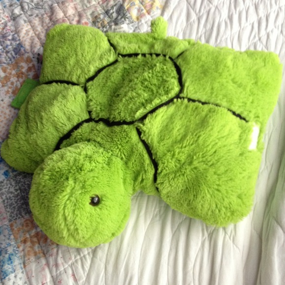 Turtle pillow pet