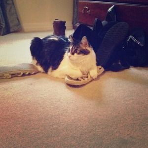 Buy from my mommys closet please