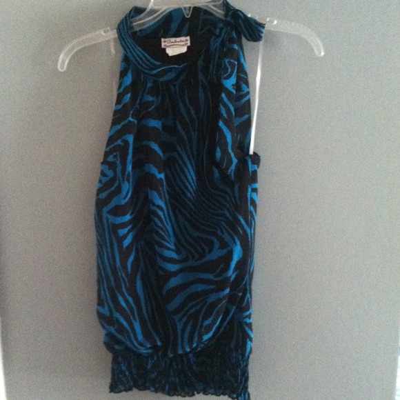 Blue Zebra Blouse