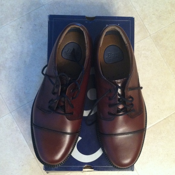 Bass-WEBSTER Brown Men's Shoe