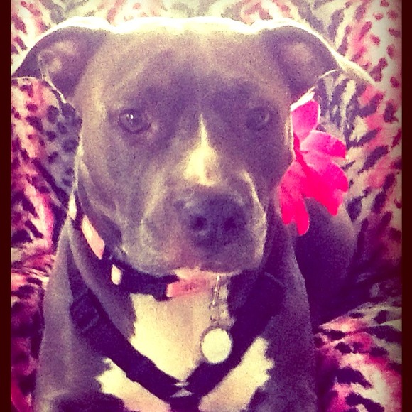 Hello!! - Picture 1 of 4