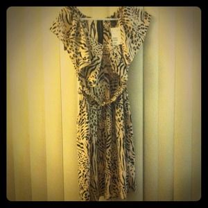 Pink Zebra Print H & M dress