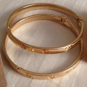 Cartier inspired bracelets (pair)
