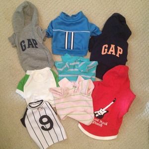 Puppy Clothes
