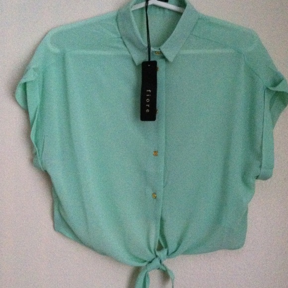 🚫SOLD🚫NEW mint crop chiffon top