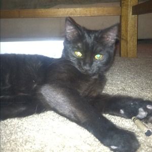 Matchly passed Today-4/22/13 @ 9:20 Matchly passed Today-4/22/13 @ 9:20