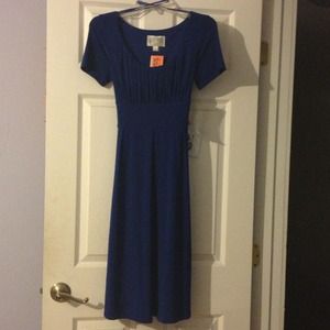 Blue short sleeve dress.