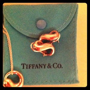 Authentic Circle Necklace and Silver Earrings