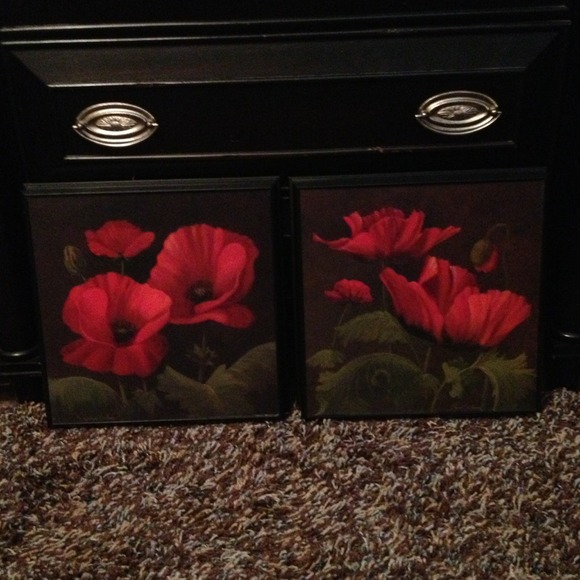 2- 12x12 framed pictures.
