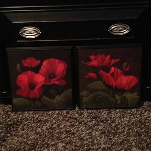 2- 12x12 framed pictures.