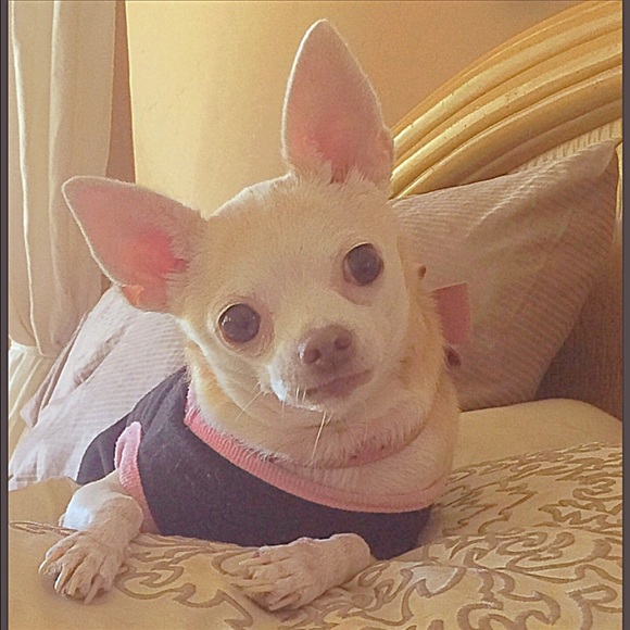 Hi I'm Mere 😊Welcome to my closet !!!! - Picture 3 of 4