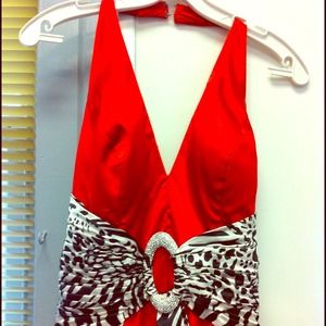 Prom Dress   Red & Zebra dress!!!