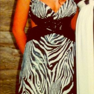 Zebra dress