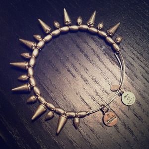 Alex and Ani Russian Silver Spike of Courage.