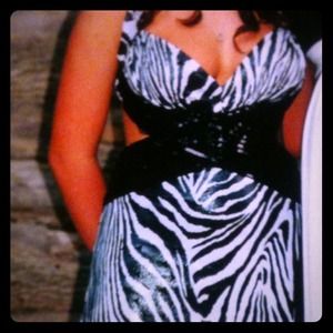 Zebra print dress