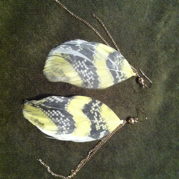 Never been worn feather earrings