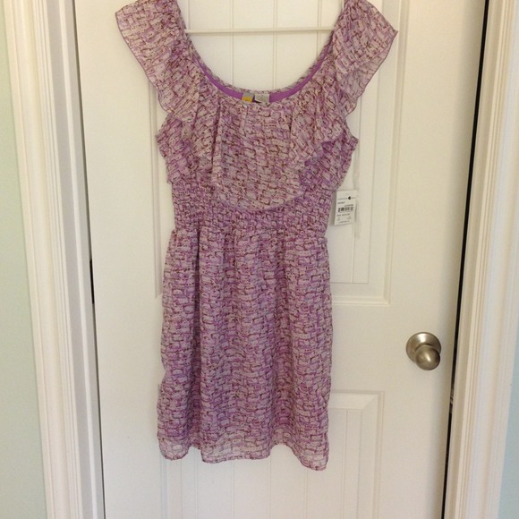 NWT super cute lavender ruffle dress!