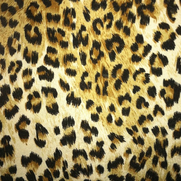 😀SOLD - BUNDLED😃Leopard and lace blouse - Picture 2 of 2