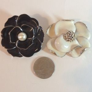 2 brooches