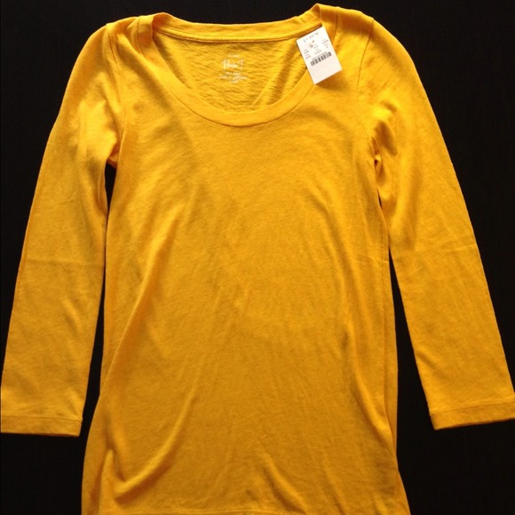 J. Crew Painter T