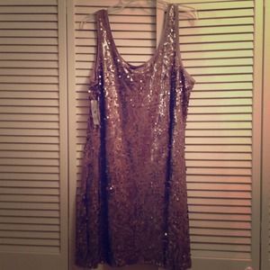 Pewter Worthington Woman Dress - 1X