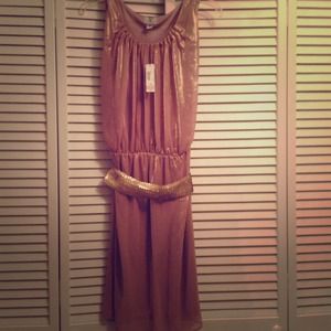 Rose Gold Size Sexy Dress