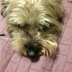 Bundle for @micheleconelly