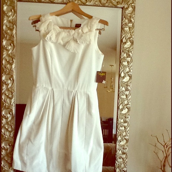 ******SOLD******** NWT Taylor dress