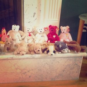 Assorted Beanie babies! Bear, cat, dog, lion, bird