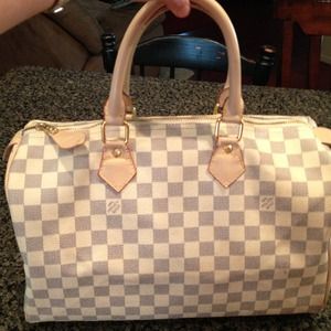 Louis vuitton inspired damier azur speedy