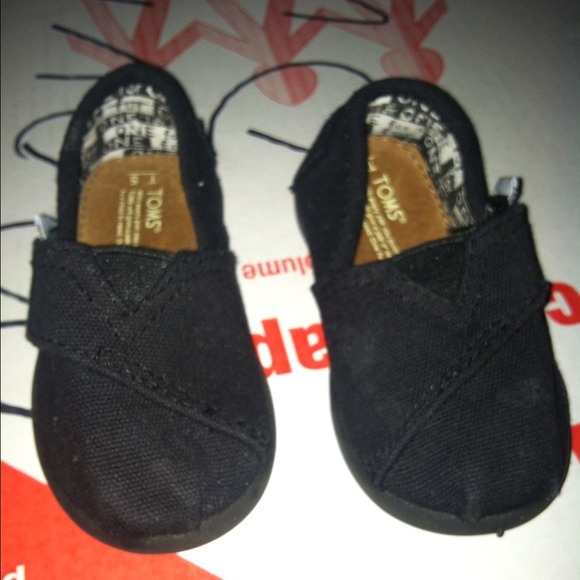TOMS 5T