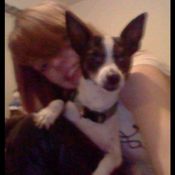 🌸 Meet your seller / Trader / buyer  🌸 😊 - Picture 3 of 7