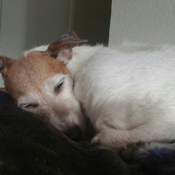 🌸 Meet your seller / Trader / buyer  🌸 😊 - Picture 5 of 7