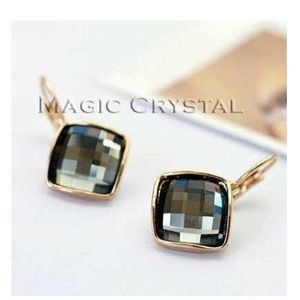 Brand New earrings