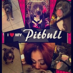 I ❤ my Daisy 🐾🐾🐾🐾🐾