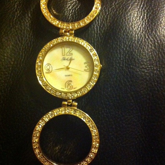 NEW EXCLUSIVE PARKLANE WATCH!